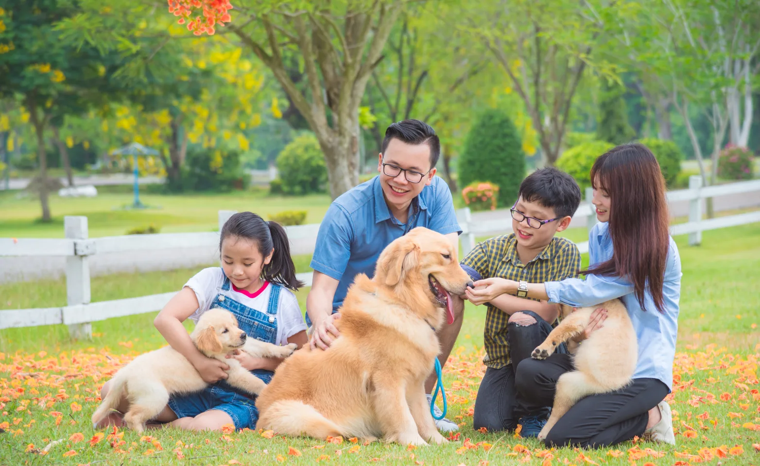 Family with fence and a dog